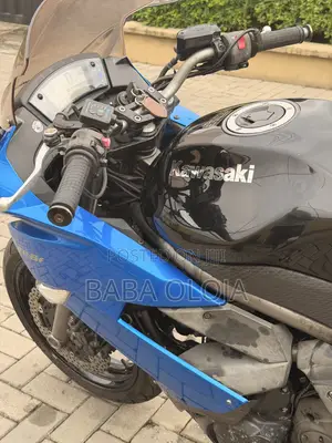 Kawasaki Bike 2011 Blue