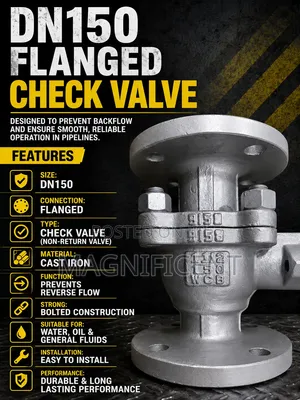 Flanged Check Valve DN150 – Cast Iron Swing Check Valve