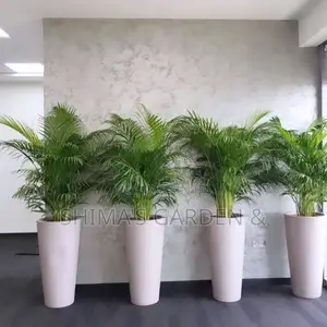 Fresh Plants