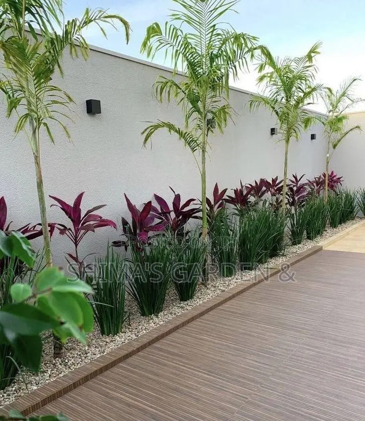 Fresh Plants