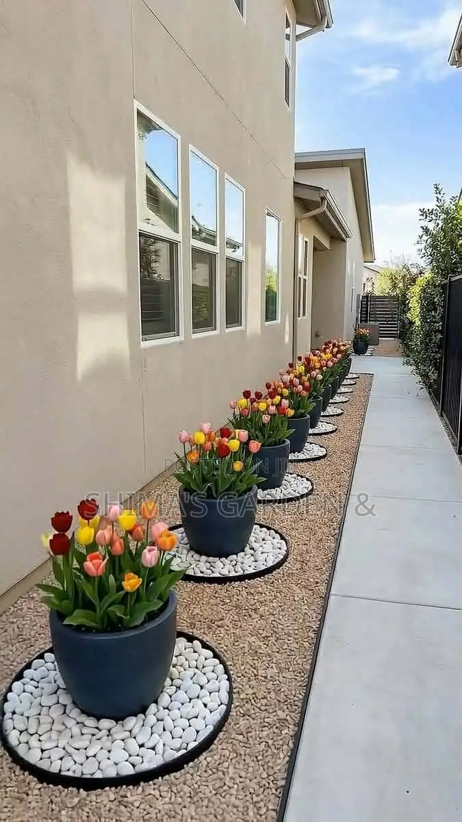 Fresh Plants