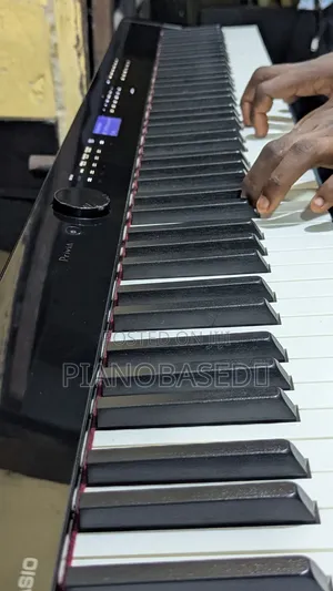 Privia Px-S3000