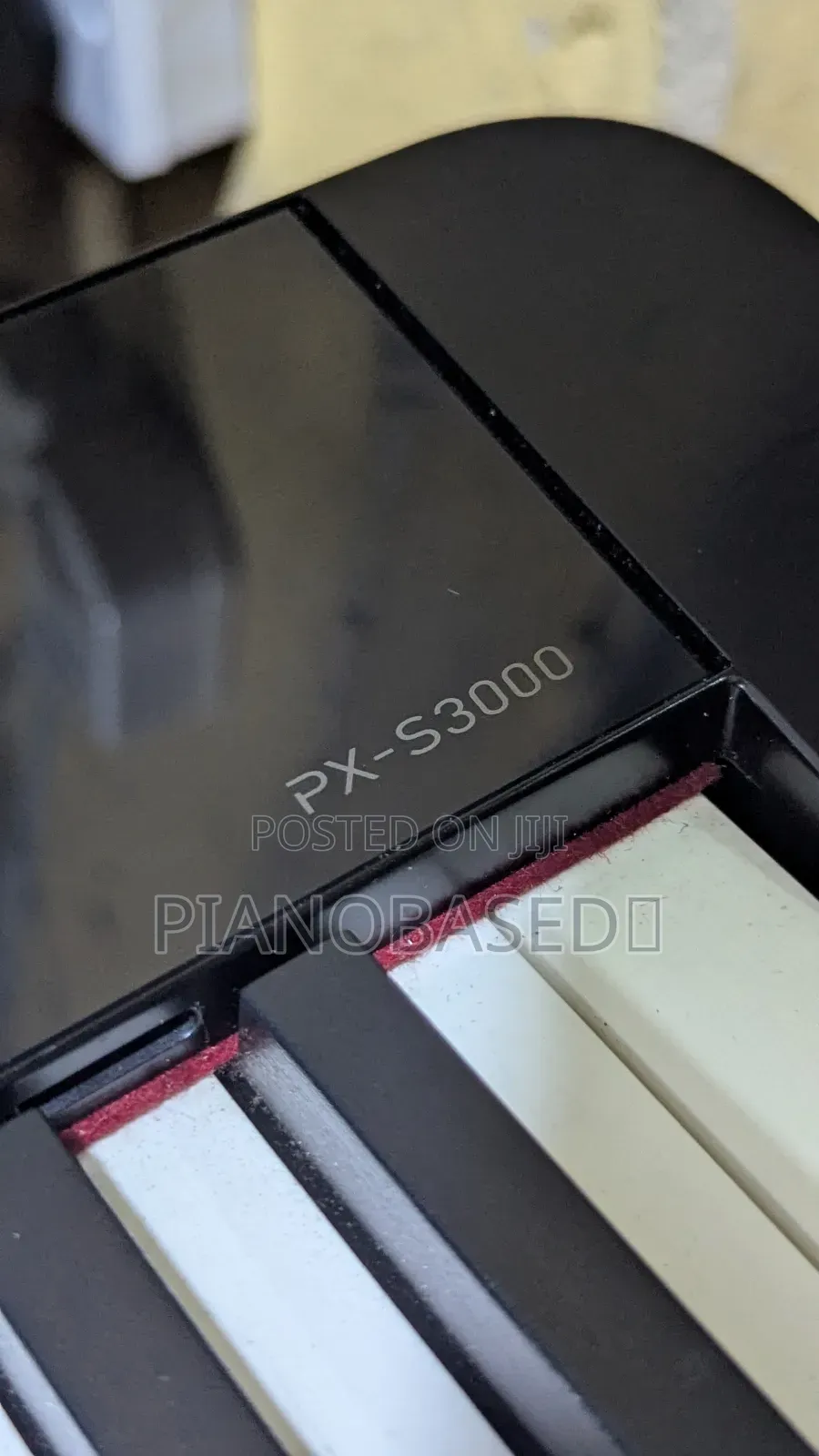 Privia Px-S3000
