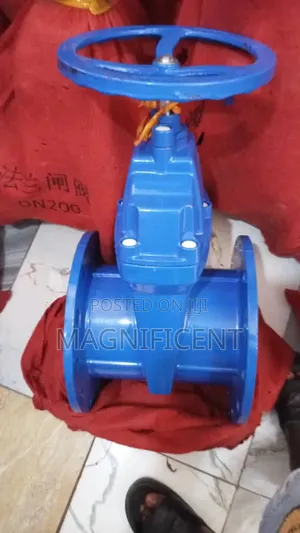 Gate Valve Rubber Tunge 2"21/"3"4"5"6""18"