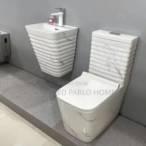 Executive White W/C and Wall-Hung Basin Set