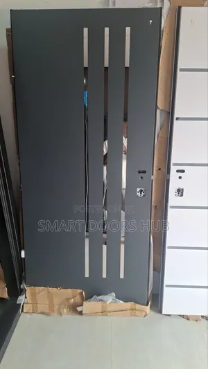 Israeli Doors