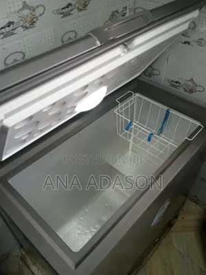 Thermocool Freezer 200L