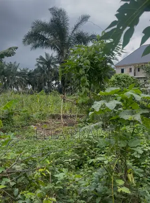 One Plot of Land for Sale 50 by 100 at Naze Owerri Very Close to Obibi