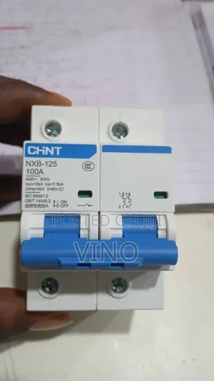 Chint NXB-125 100a 2-Pole (2p) Miniature Circuit Breaker (Mcb