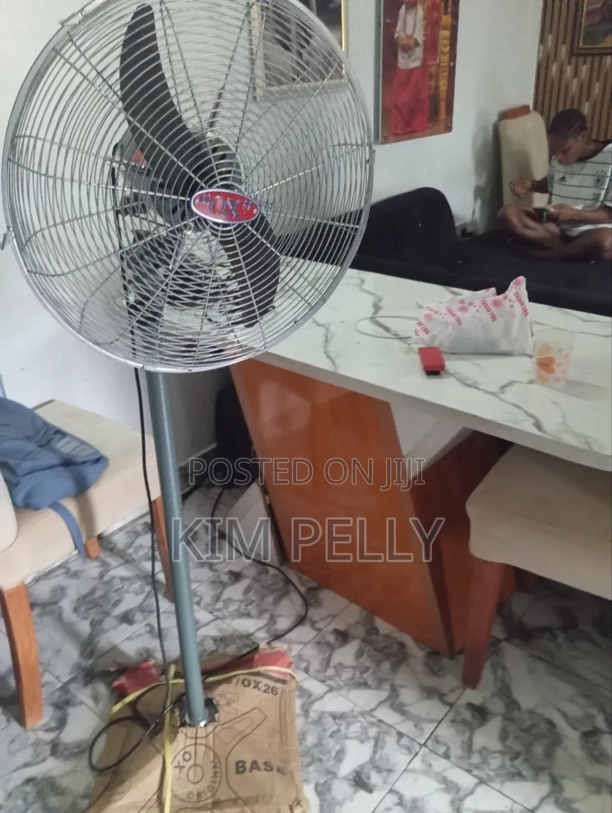 Standing Fan