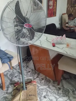 Standing Fan