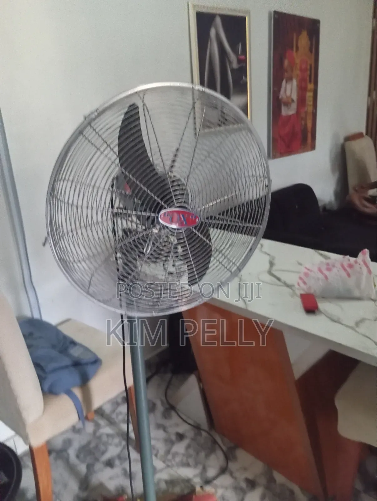 Standing Fan