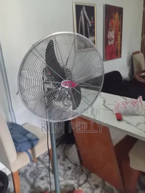 Standing Fan