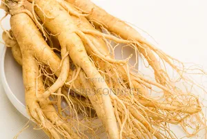 Siberian Ginseng Root - 100g
