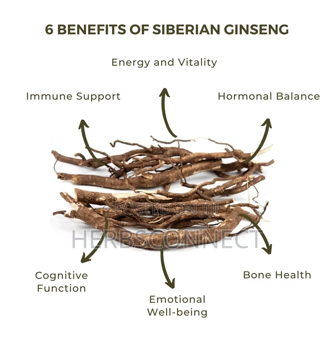 Siberian Ginseng Root - 100g