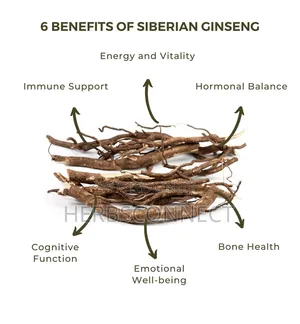 Siberian Ginseng Root - 100g