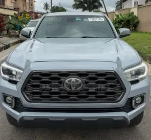 Toyota Tacoma 2020 Gray