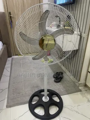 Standing Fan and Mirror