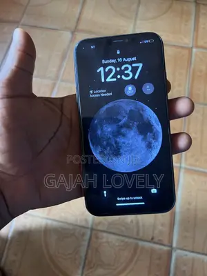 Apple iPhone 11 64 GB Gray