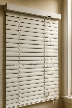 Window Blinds