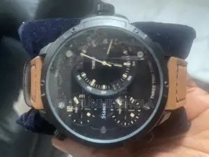 Stauer Watch