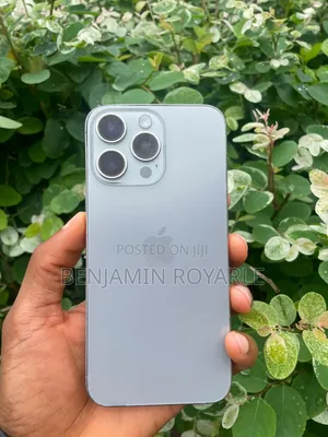 Apple iPhone 15 Pro Max 256 GB Silver