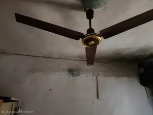 14 Inch Blade Ceiling Fan