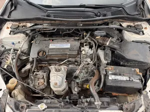 Honda Accord 2013 White