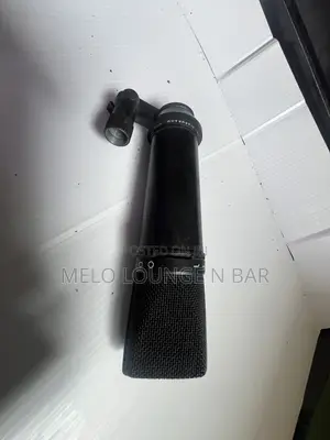 Live Studio Condenser Microphone Made in USA