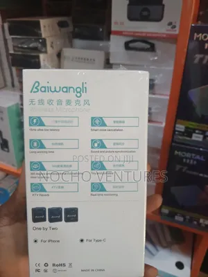 Baiwangli Sx39 Wireless Microphone