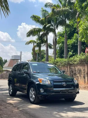 Toyota RAV4 2009 Gray
