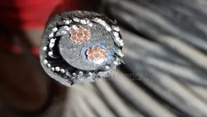 25mmx2core Armoured Cable