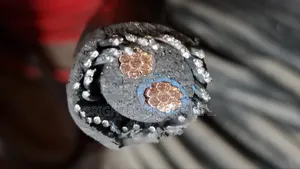 25mmx2core Armoured Cable
