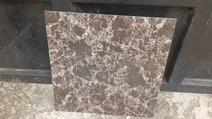 60 X 60 Virony Super Polish Tiles