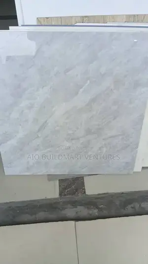 60 X 60 Virony Super Polish Tiles