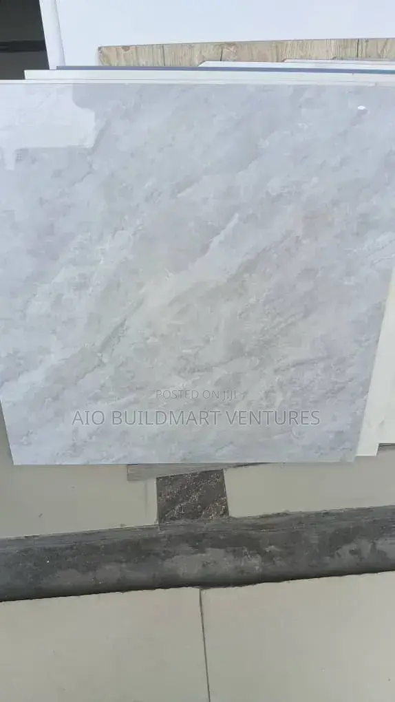 60 X 60 Virony Super Polish Tiles
