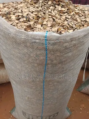 Unpeeled Egusi