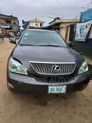 Lexus RX 330 2005 Gray