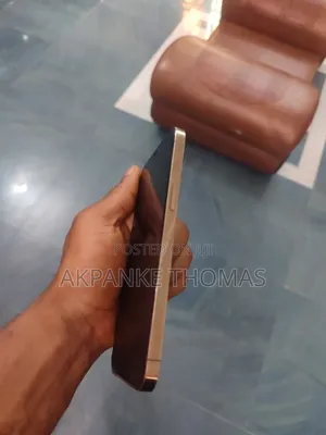 Apple iPhone 12 Pro Max 256 GB Rose Gold