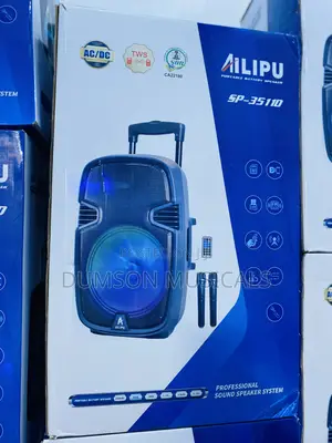 Ailipu SP-3511D 15 Inches PA System With Bluetooth Two Wireless Mics