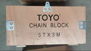 5ton Chain Block