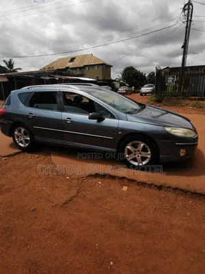 Peugeot 407 2006 Blue