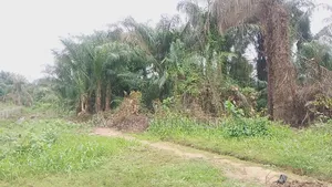 Attention Estate Developers Investors: 3 Plots Land Deals in Ikorodu