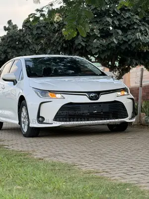Toyota Corolla 2019 White