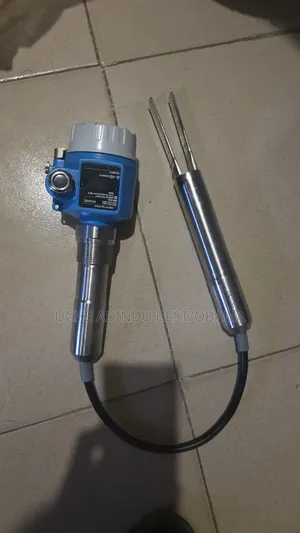 Endress and Hausa Soliphant FTM52
