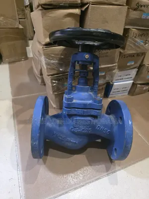 Globe Valve Spira Serco Valve Dn50