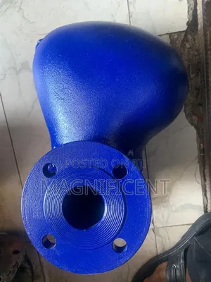 Flanged Cast Iron Swing Check Valve – Blue
