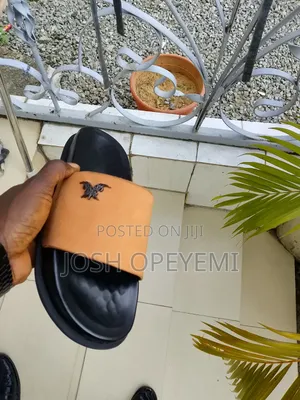 Luxury Carton Slides