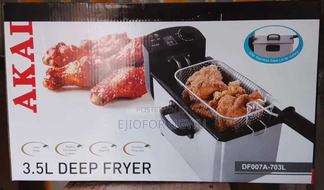 Deep Fryer for Chips and Others