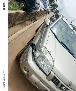 Nissan X-Trail 2006 Gray